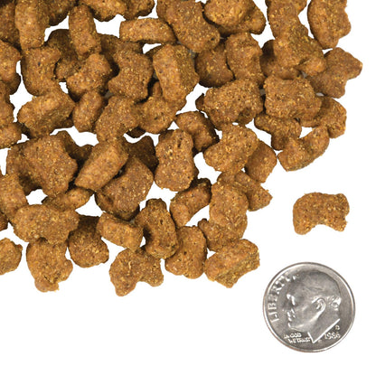 Fromm Four-Star Grain Free Lamb & Lentil Dry Dog Food