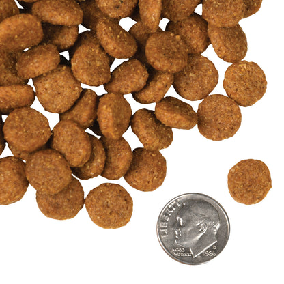 Fromm Four-Star Pork & Applesauce Dry Dog Food