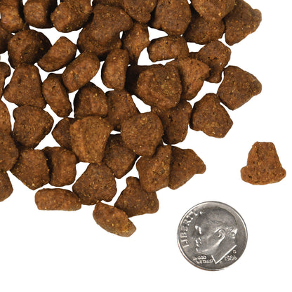 Fromm Four-Star Grain Free Rancherosa Dry Dog Food
