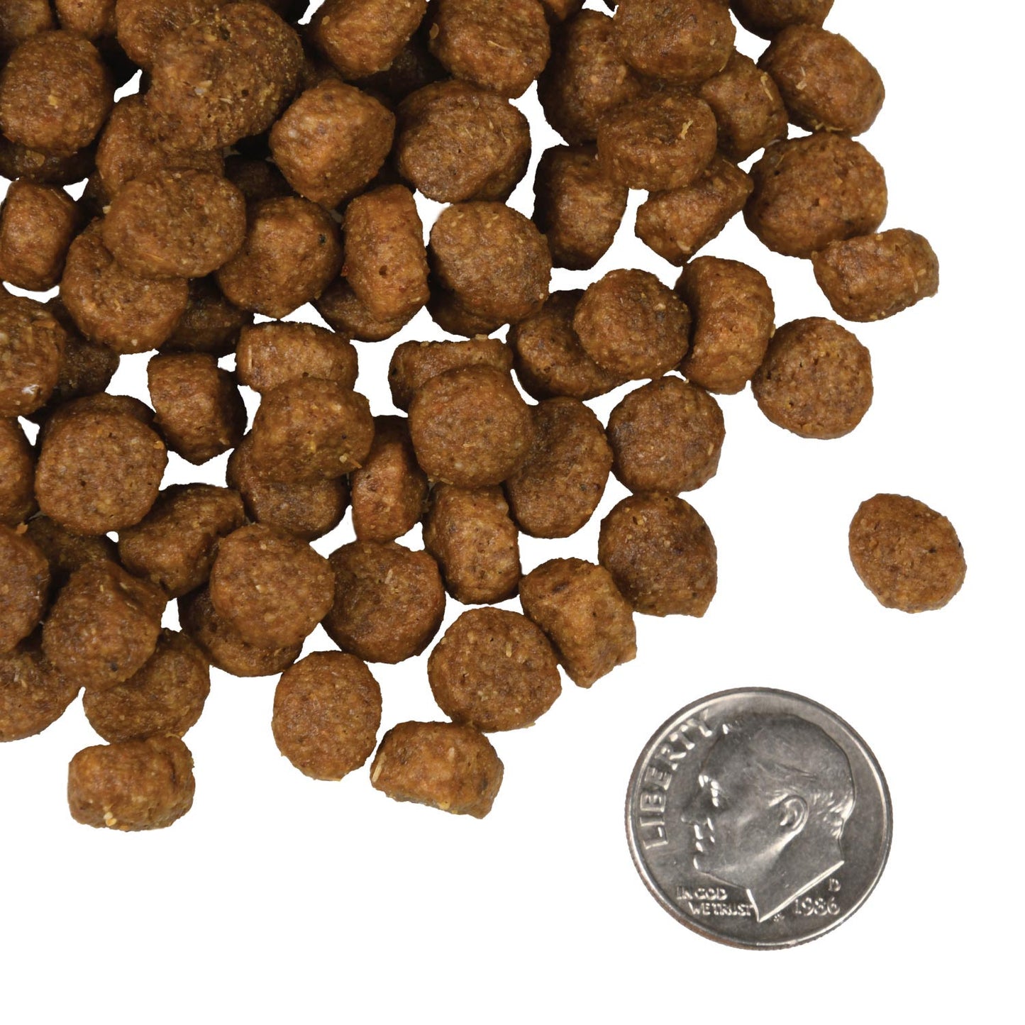 Fromm Four-Star Salmon A La Veg Dry Dog Food