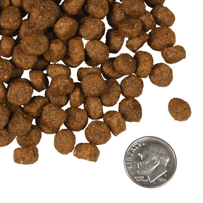 Fromm Four-Star Salmon A La Veg Dry Dog Food