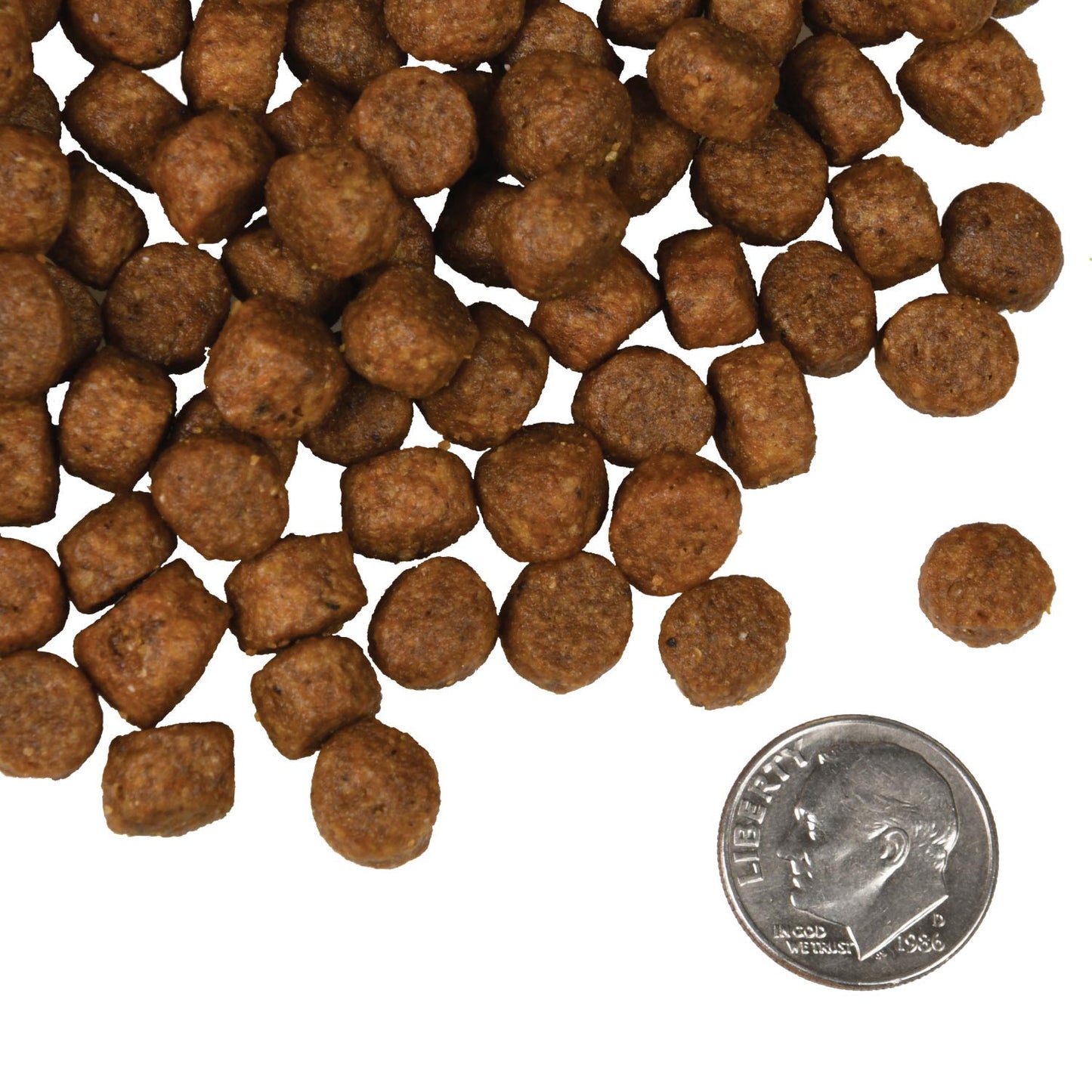 Fromm Four-Star Grain Free Salmon Tunalini Dry Dog Food