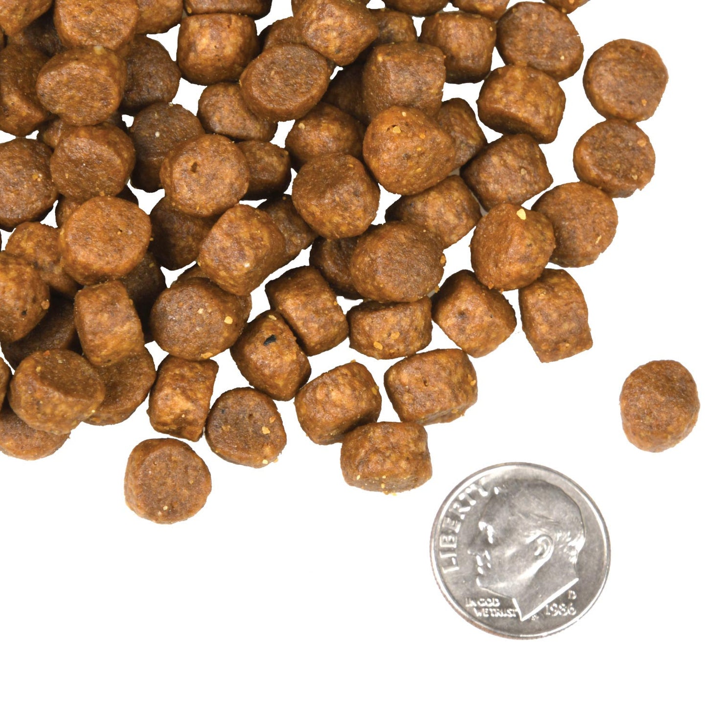 Fromm Four-Star Grain Free Surf and Turf Dry Dog Food