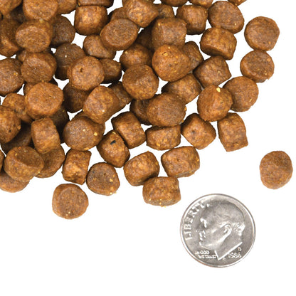 Fromm Four-Star Grain Free Surf and Turf Dry Dog Food