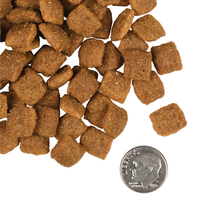 Fromm Gold Adult Dry Dog Food