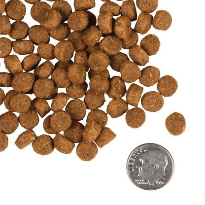 Fromm Gold Puppy Dry Dog Food