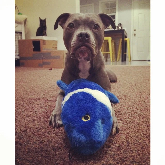Fluff & Tuff "Gil" Koi Plush Dog Toy