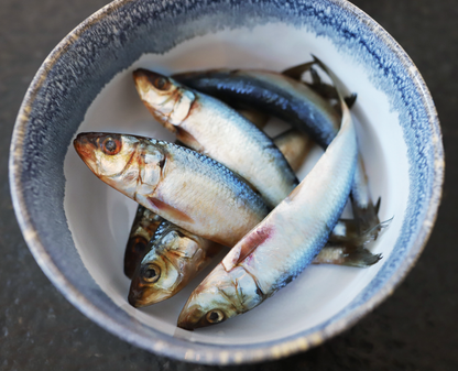 Oma's Pride Frozen Whole Sardines for Dogs and Cats