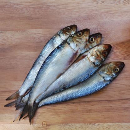 Oma's Pride Frozen Whole Sardines for Dogs and Cats