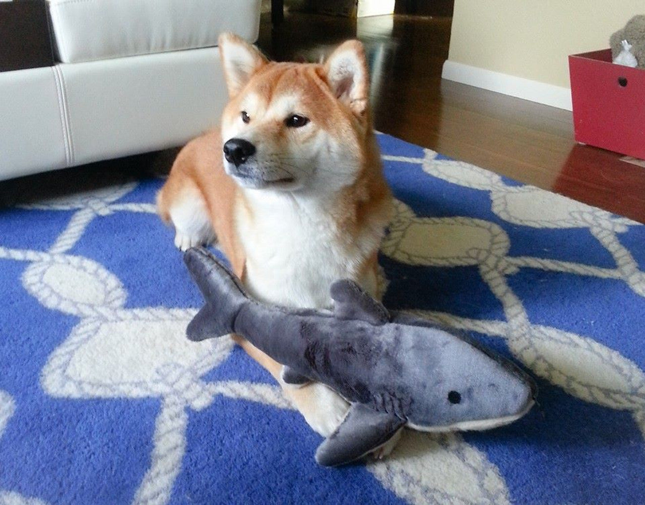 Fluff & Tuff "Mac" - Shark Plush Dog Toy