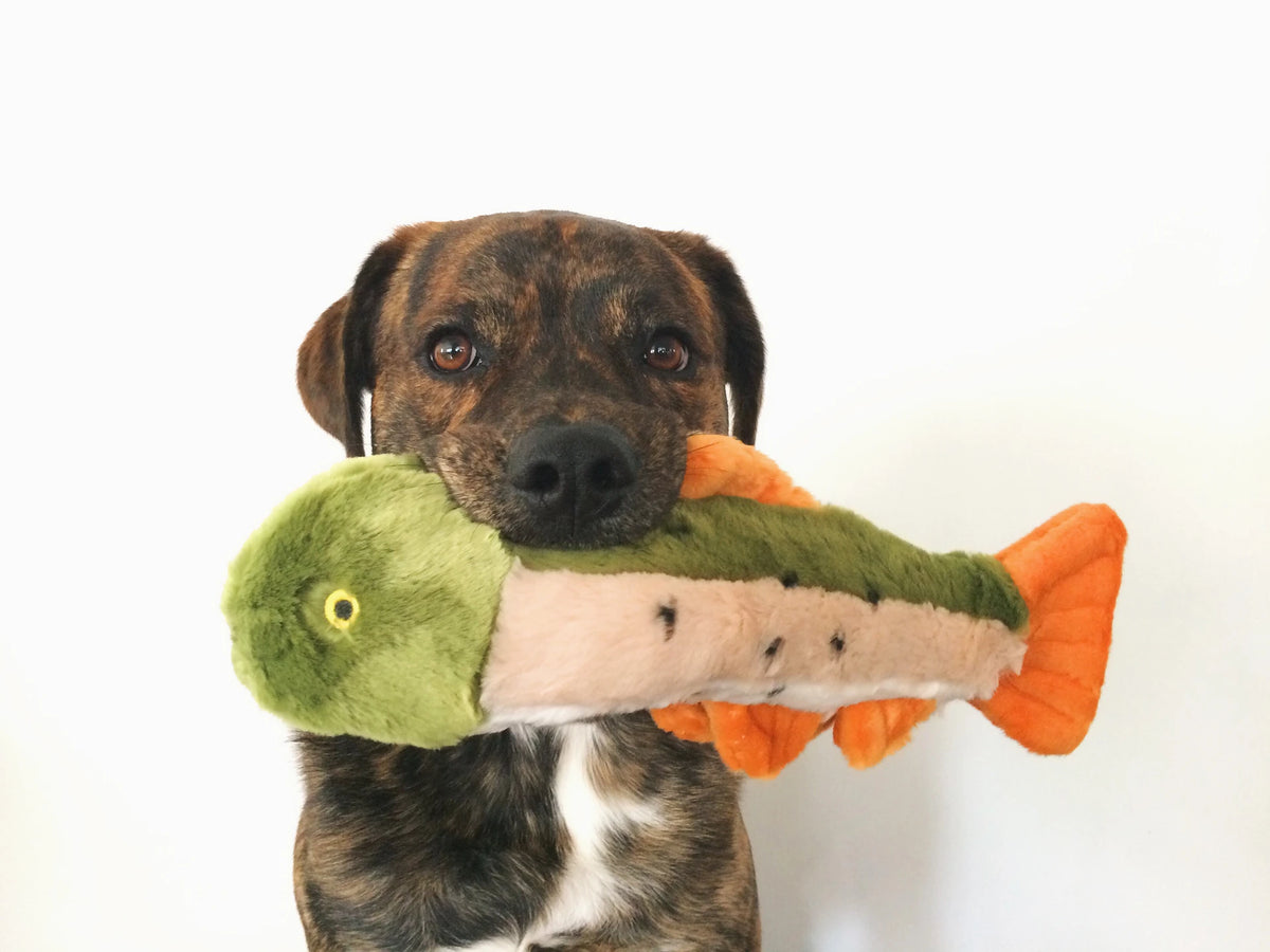 Fluff & Tuff "Ruby" Rainbow Trout Plush Dog Toy